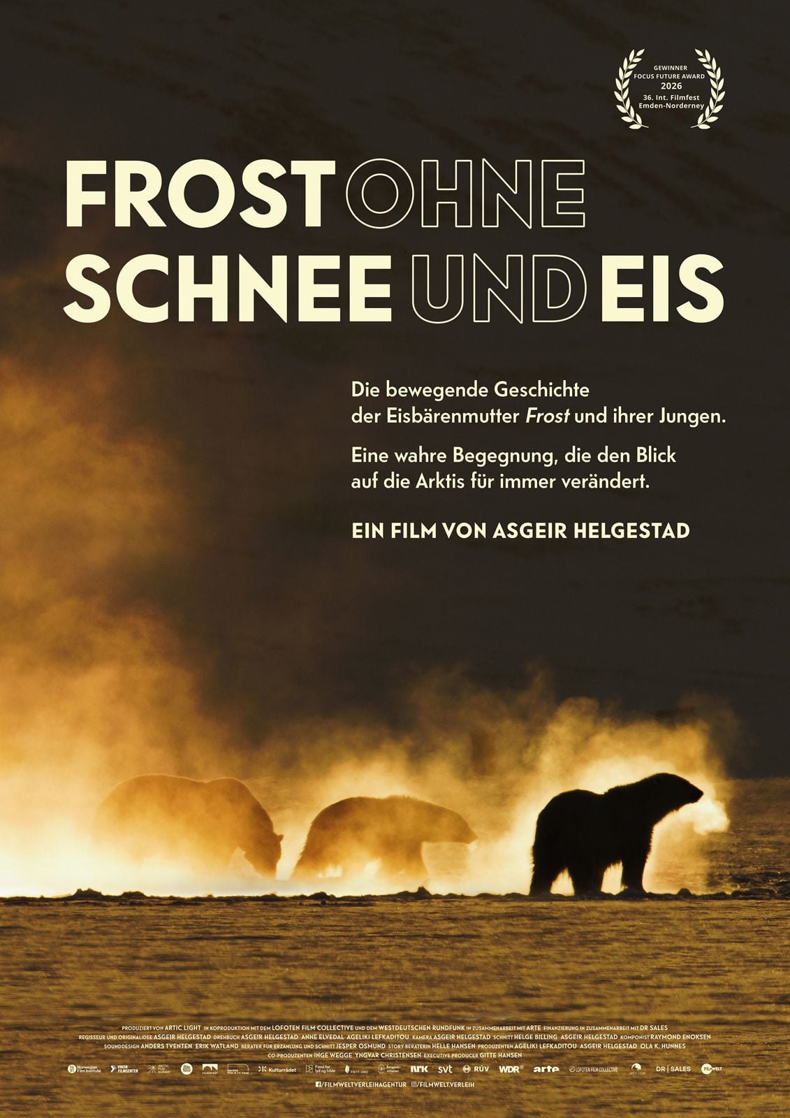Hauptfoto Frost ohne Schnee und Eis