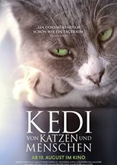 Hauptfoto Kedi - Von Katzen und Menschen