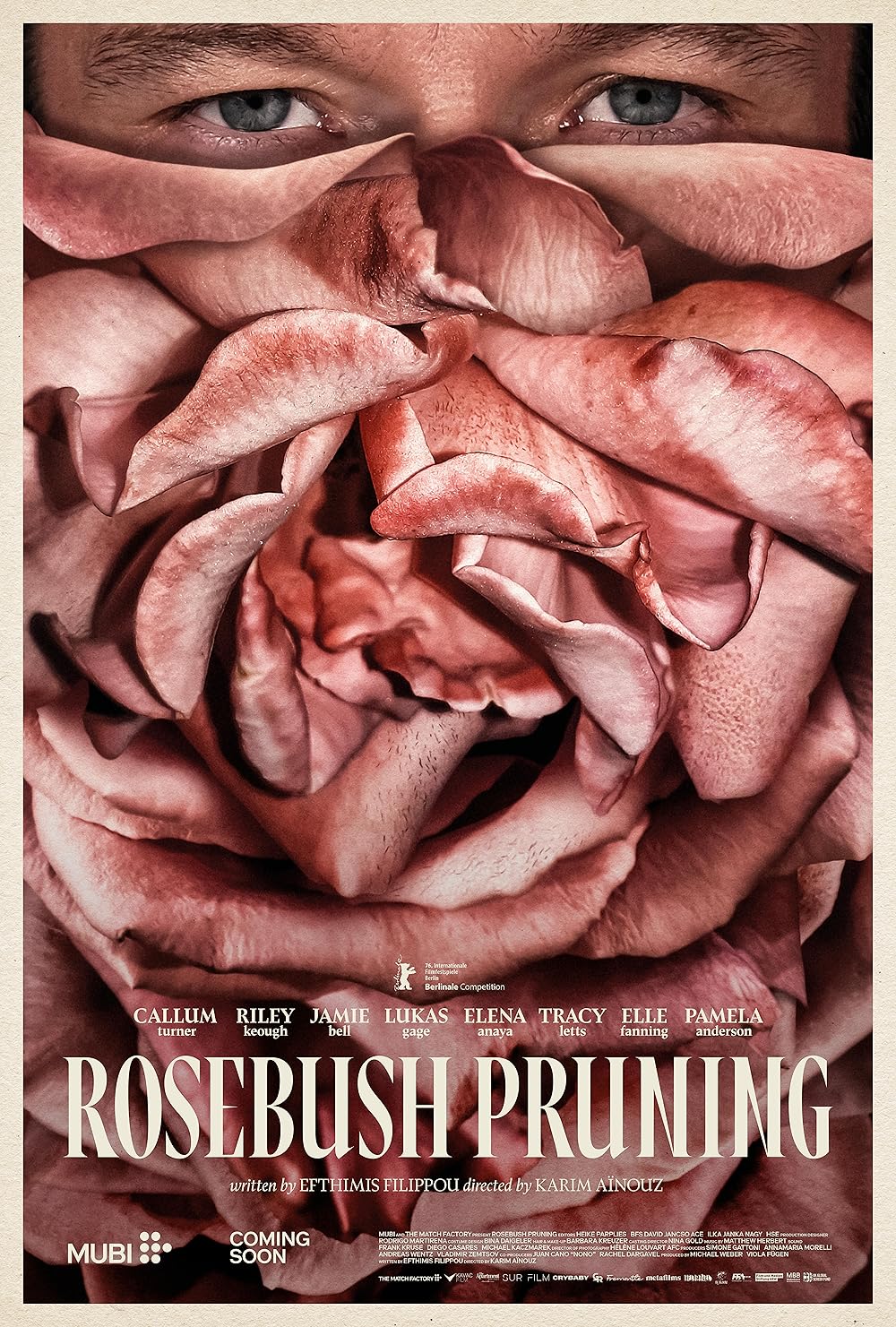 Hauptfoto Rosebush Pruning