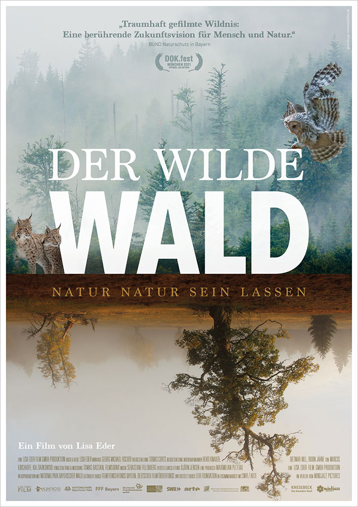 Hauptfoto Der wilde Wald - Natur Natur sein lassen