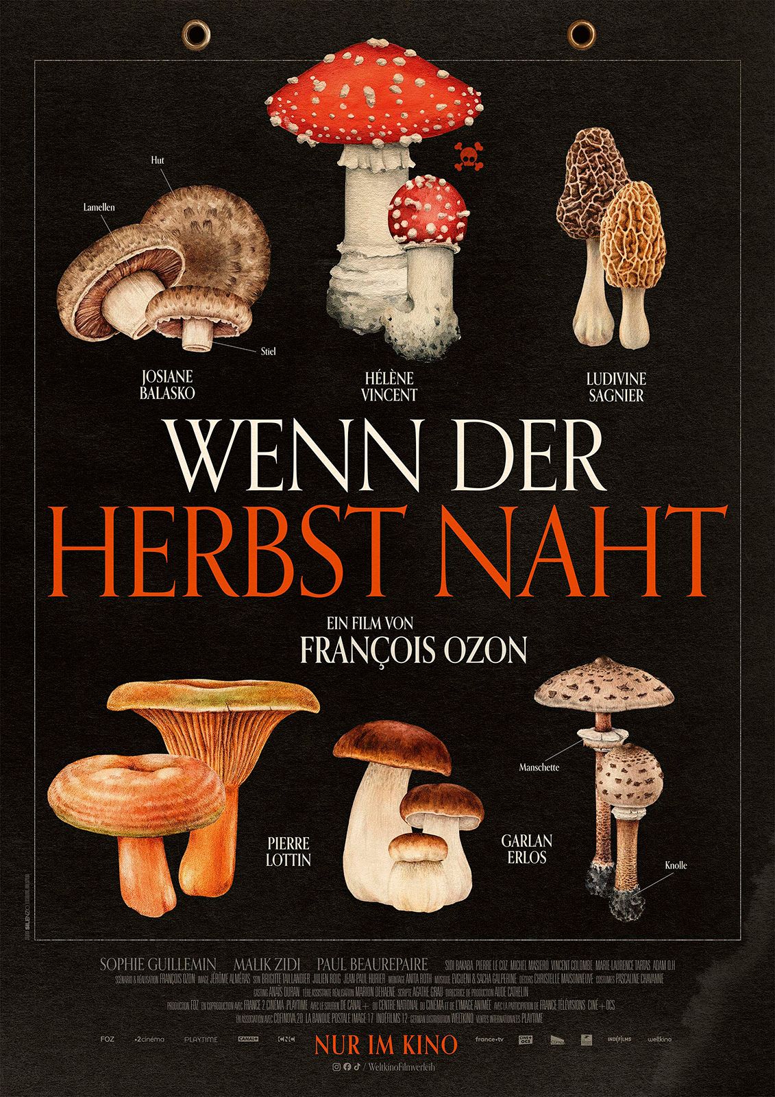 Foto Wenn der Herb...